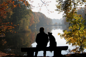 dog and owner sitting on a bench overlooking a lake