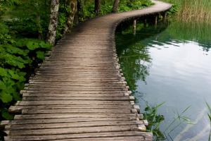 wooden walkway near water